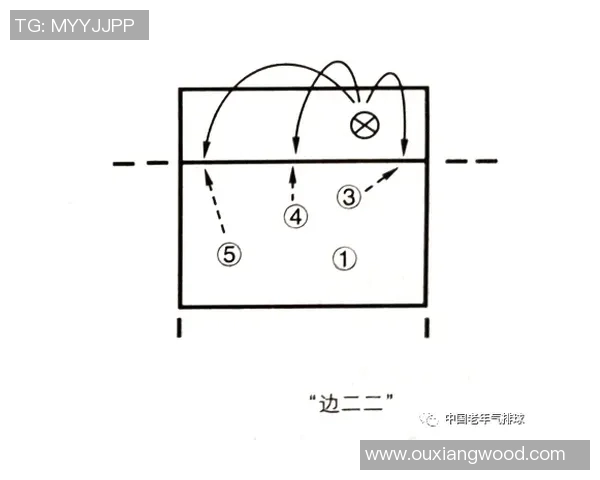 成都排球队中路突破战术解析与实战应用探讨