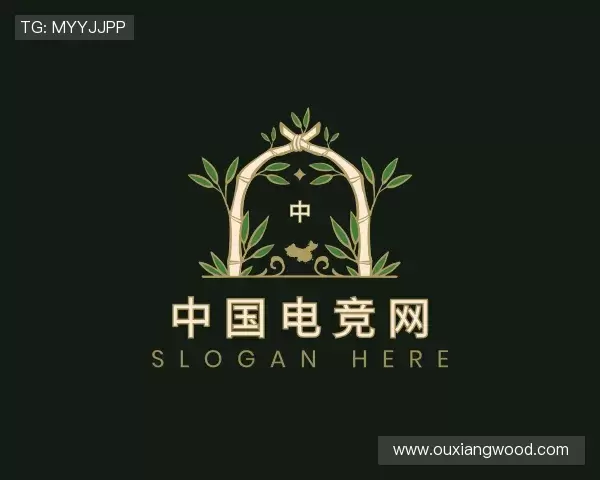 发现中国电竞网